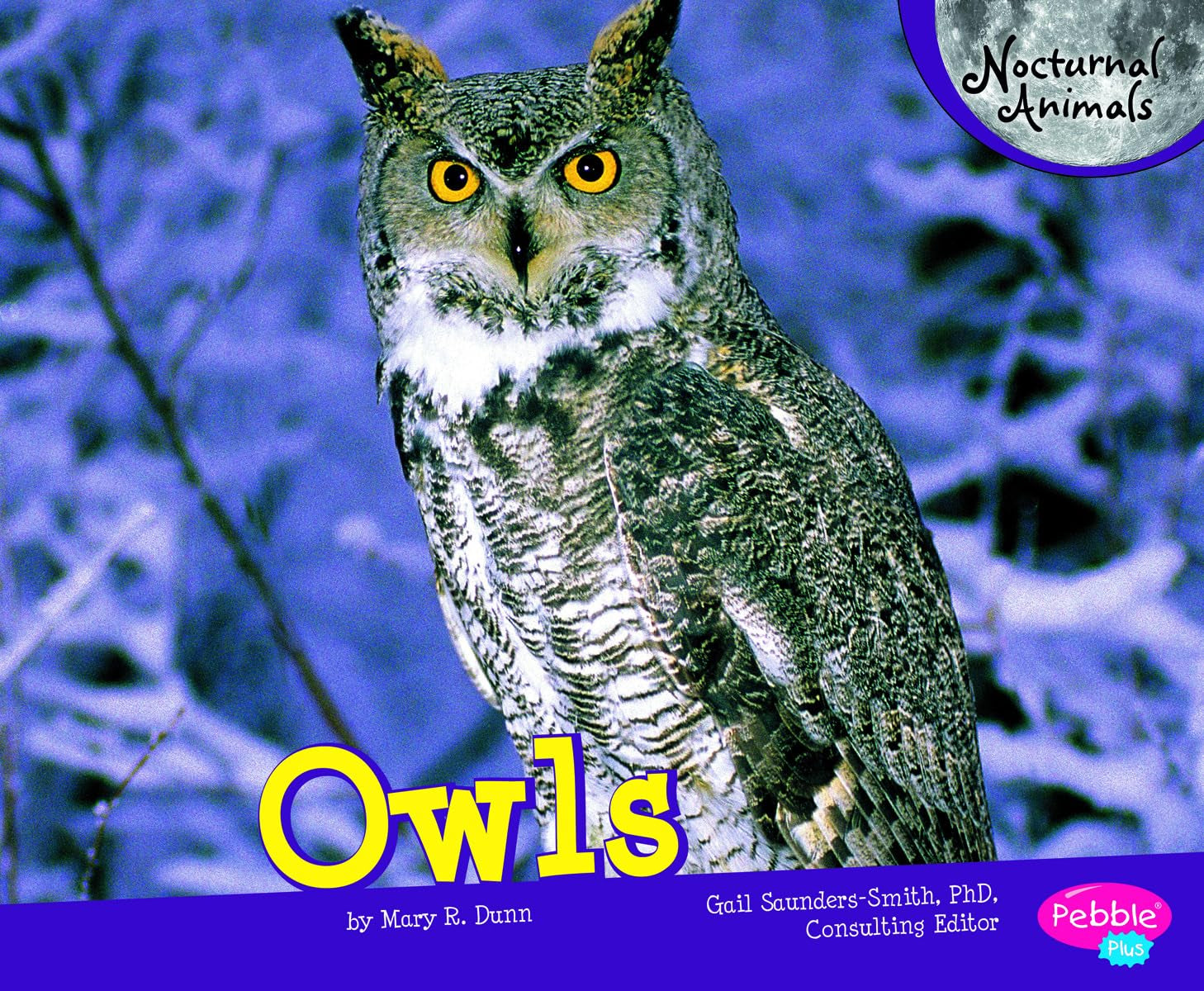 Owls (Pebble Plus: Nocturnal Animals),Used