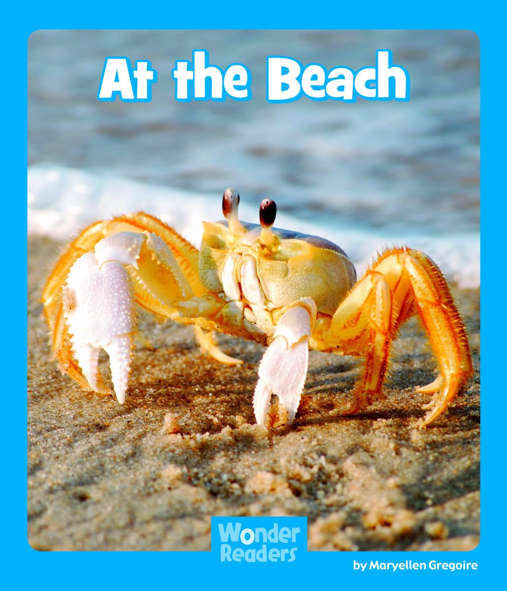 At the Beach (Wonder Readers Emergent Level),Used