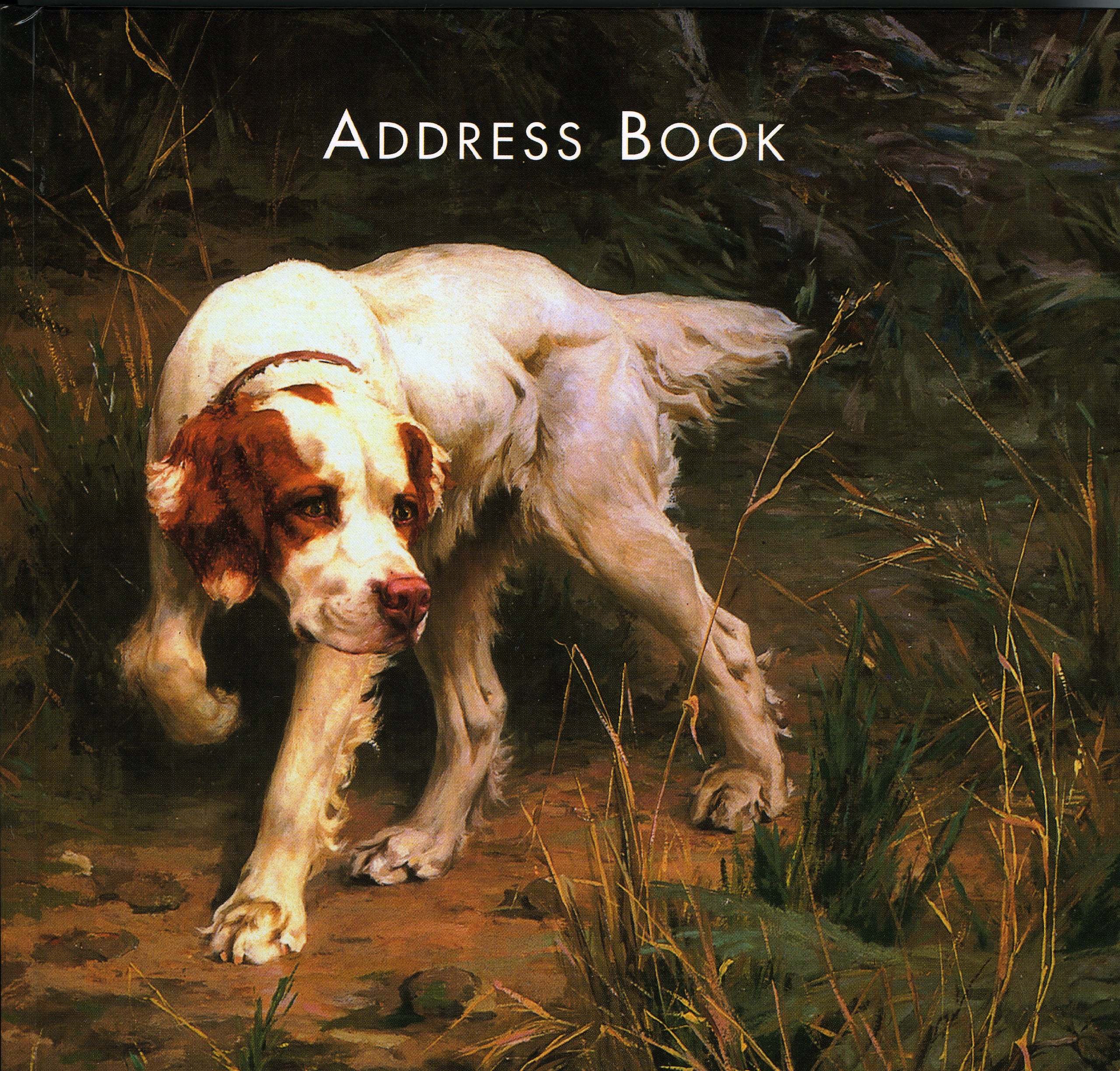 AKC Dog Address Book,Used