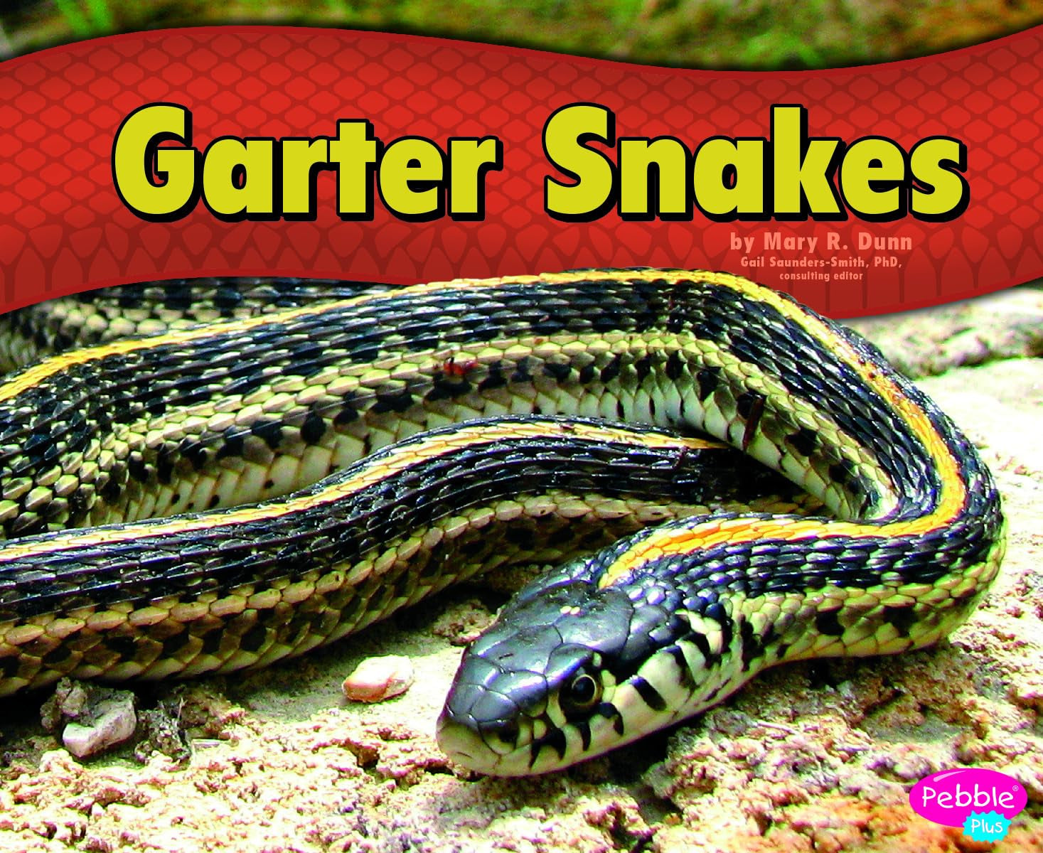 Garter Snakes,Used