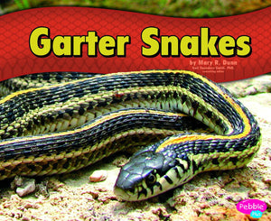Garter Snakes,Used