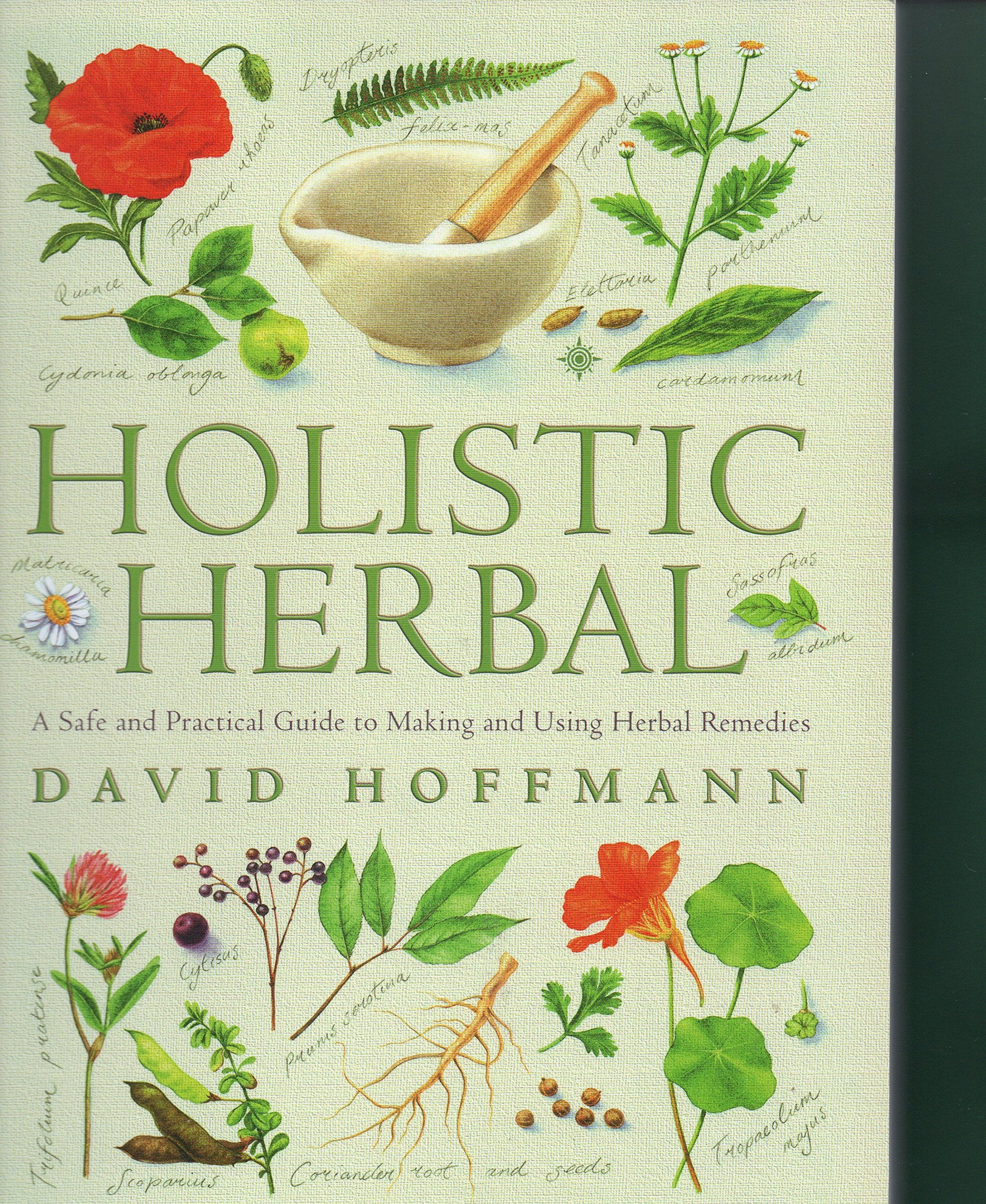 Holistic Herbal: A Safe and Practical Guide to Making and Using Herbal Remedies,Used