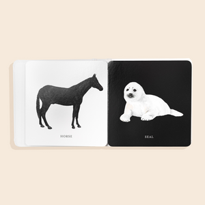 Baby's Black and White Contrast Book