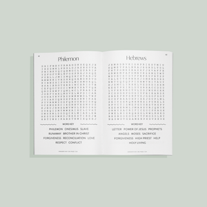 Bible Word Search for Adults