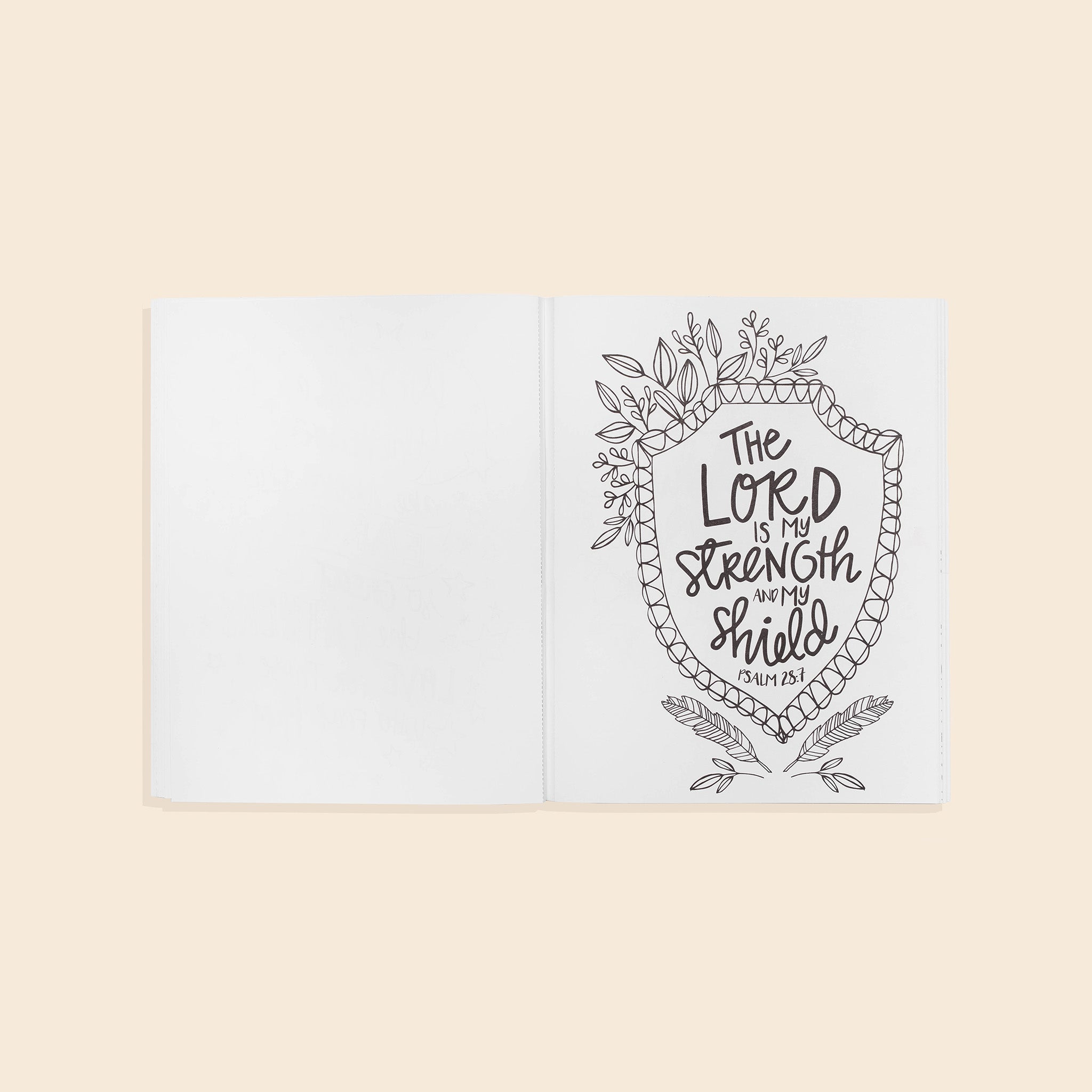 Beauty in the Bible 2