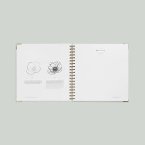 How to Draw Modern Florals