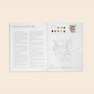 Watercolor Workbook