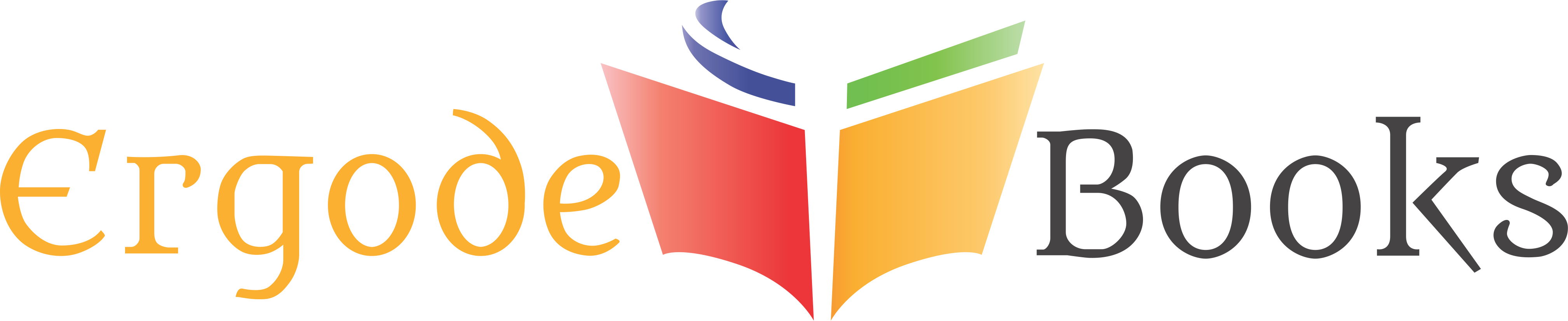 Ergodebooks