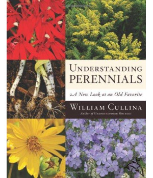 Understanding Perennials: A New Look at an Old Favorite (Frances Tenenbaum Books)