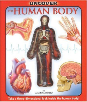 Uncover the Human Body: An Uncover It Book