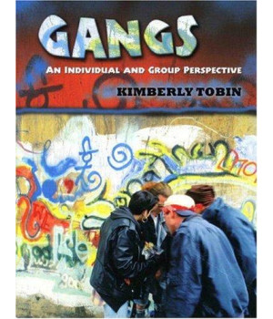 Gangs: An Individual and Group Perspective
