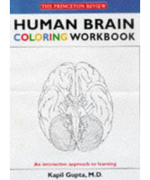 Human Brain Coloring Workbook (Coloring Workbooks)