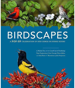 Birdscapes: A Pop-Up Celebration of Bird Songs in Stereo Sound