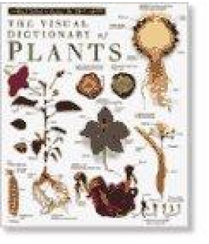 Plants (DK Visual Dictionaries)