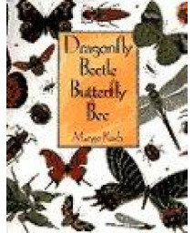 Dragonfly Beetle Butterfly Bee      (Hardcover)
