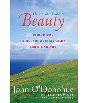 Beauty: The Invisible Embrace      (Paperback)