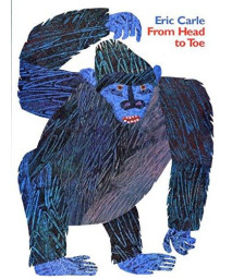 From Head to Toe Big Book      (Paperback)