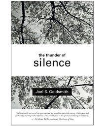 The Thunder of Silence      (Paperback)