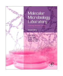 Molecular Microbiology Laboratory: A Writing-Intensive Course