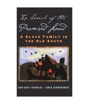 In Search of the Promised Land: A Slave Family in the Old South (New Narratives in American History)