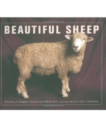 Beautiful Sheep: Portraits of Champion Breeds
