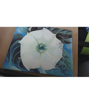 Georgia O'Keeffe: One Hundred Flowers