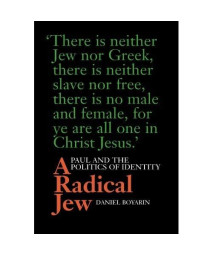 A Radical Jew: Paul and the Politics of Identity (Contraversions: Critical Studies in Jewish Literature, Culture, and Society)