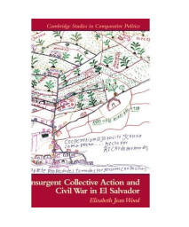 Insurgent Collective Action and Civil War in El Salvador (Cambridge Studies in Comparative Politics)