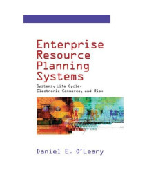 Enterprise Resource Planning Systems: Systems, Life Cycle, Electronic Commerce, and Risk