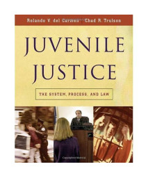 Juvenile Justice: The System, Process and Law (Available Titles CengageNOW)