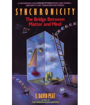 Synchronicity: The Bridge Between Matter and Mind      (Paperback)