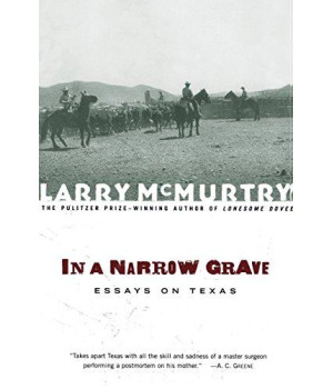 In a Narrow Grave : Essays on Texas      (Paperback)