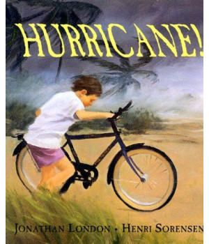Hurricane!      (Hardcover)