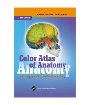Color Atlas of Anatomy: A Photographic Study of the Human Body (Color Atlas of Anatomy (Rohen))