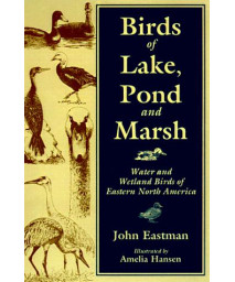 Birds of Lake Pond & Marsh: Water and Wetland Birds of Eastern North America