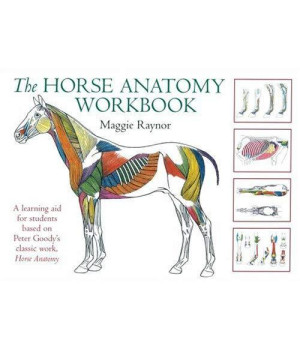 The Horse Anatomy Workbook: A Learning Aid for Students Based on Peter Goody's Classic Work, Horse Anatomy (Allen Student)