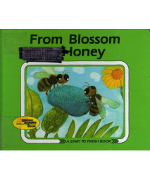 From Blossom to Honey (Start to Finish Book) (English and German Edition)      (Library Binding)