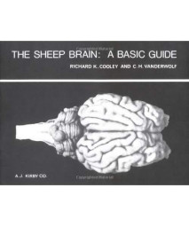 The Sheep Brain: A Basic Guide