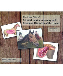 The Illustrated Atlas of Clinical Equine Anatomy and Common Disorders of the Horse (Vol 2)