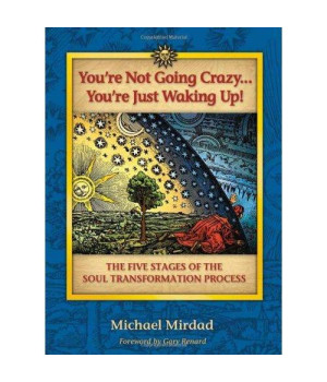 You're Not Going Crazy...You're Just Waking Up! The Five Stages of Soul Transformation Process