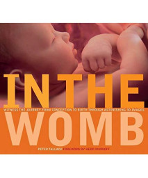 In the Womb: Witness the Journey from Conception to Birth through Astonishing 3D Images