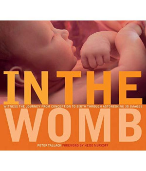 In the Womb: Witness the Journey from Conception to Birth through Astonishing 3D Images