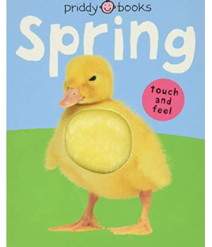 Bright Baby Touch And Feel Spring