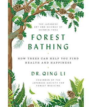 Forest Bathing: How Trees Can Help You Find Health And Happiness
