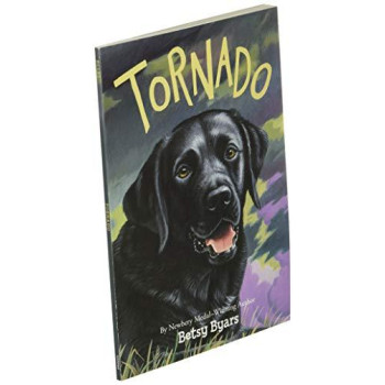 Tornado (Trophy Chapter Books (Paperback))