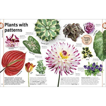 Trees, Leaves, Flowers And Seeds: A Visual Encyclopedia Of The Plant Kingdom (Smithsonian)