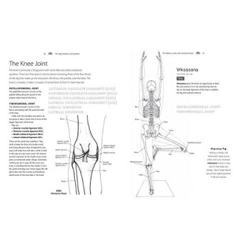 The Yoga Anatomy Coloring Book: A Visual Guide To Form, Function, And Movement (Volume 1)