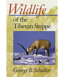 Wildlife Of The Tibetan Steppe