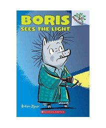 Boris Sees the Light: A Branches Book (Boris #4) (4)