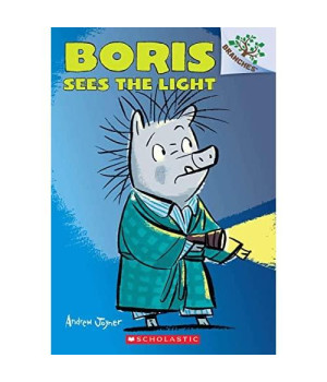 Boris Sees the Light: A Branches Book (Boris #4) (4)